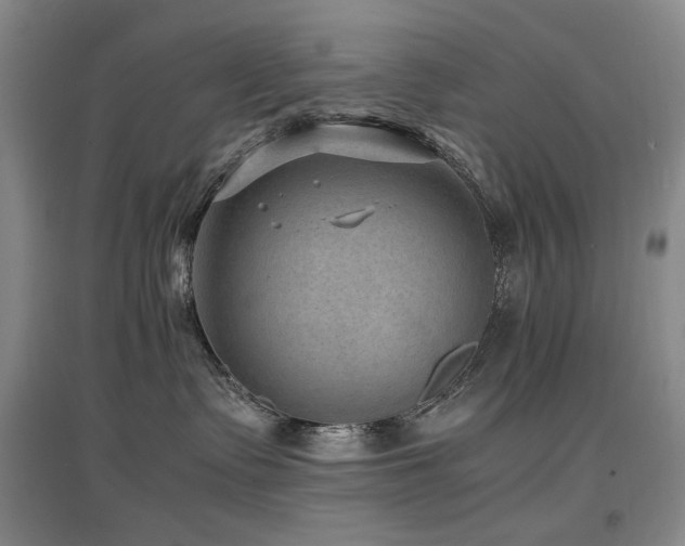 X0000097620335200802291332