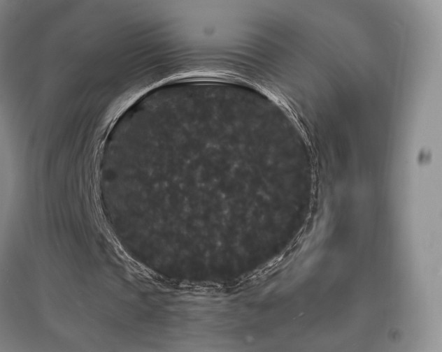 X0000097620337200802291331