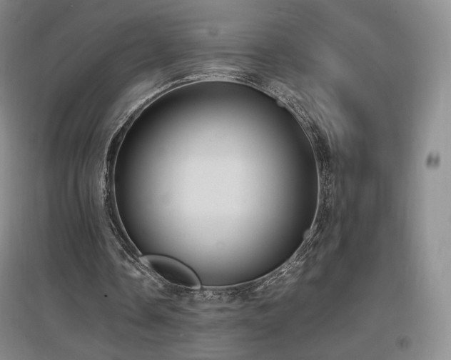 X0000097620338200802291331