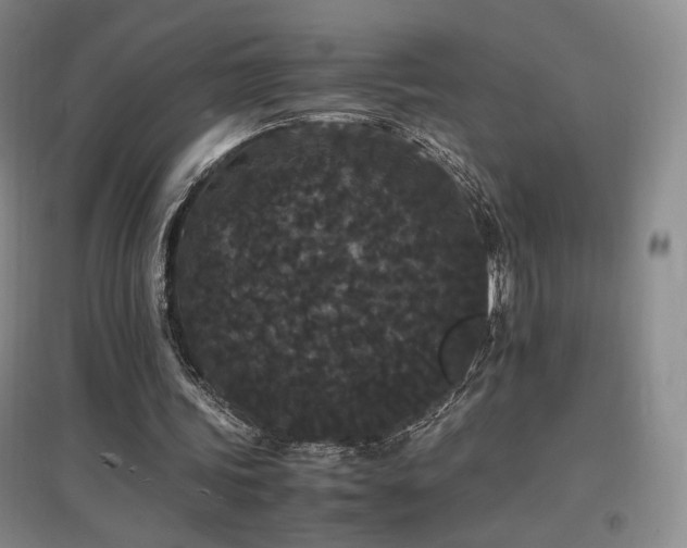 X0000097620339200802291331