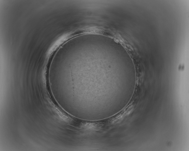 X0000097620341200802291331
