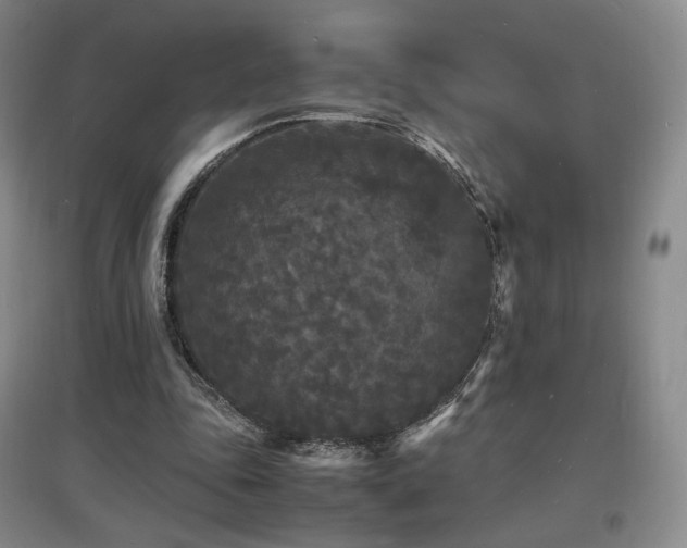 X0000097620343200802291331