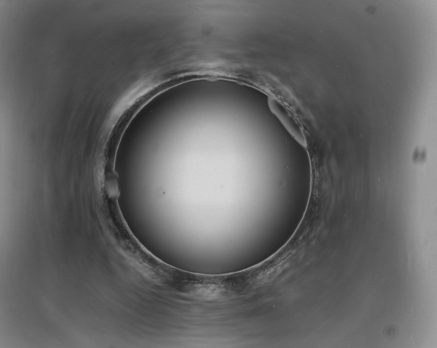 X0000097620344200802291331