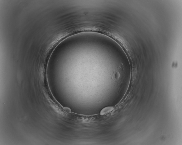 X0000097620345200802291331
