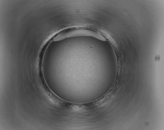 X0000097620346200802291331