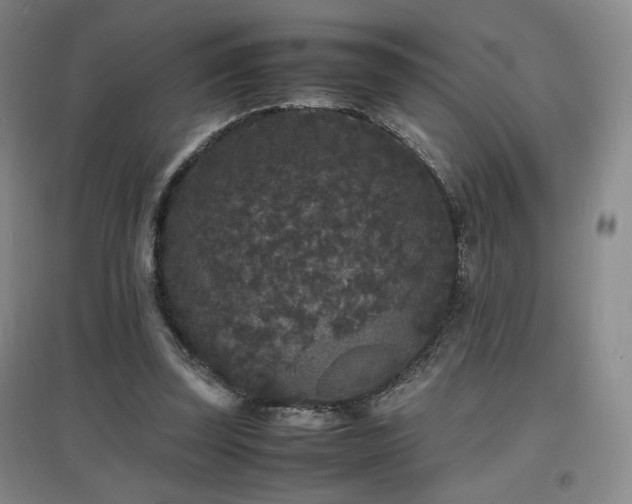 X0000097620347200802291331