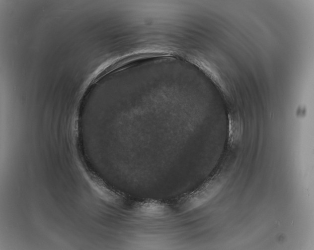 X0000097620348200802291331