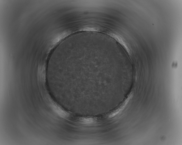 X0000097620349200802291331