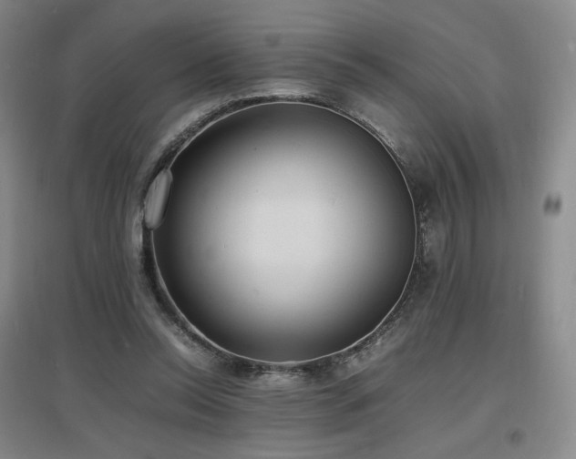 X0000097620350200802291331
