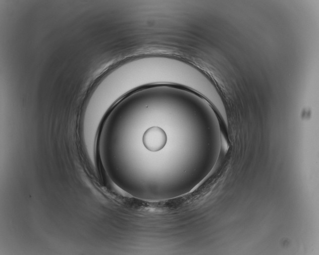 X0000097620352200802291331