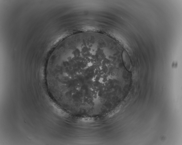 X0000097620353200802291331