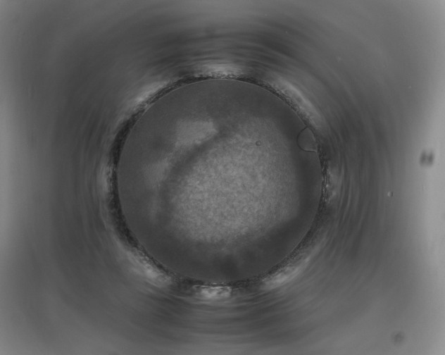 X0000097620355200802291331