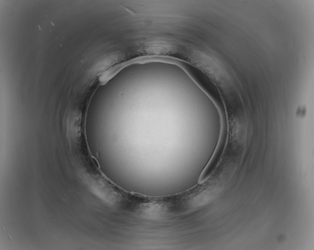 X0000097620356200802291331