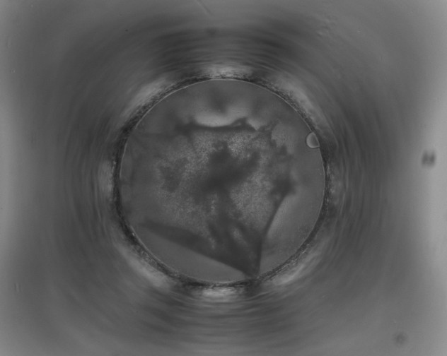 X0000097620357200802291331