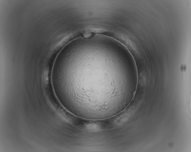 X0000097620358200802291331