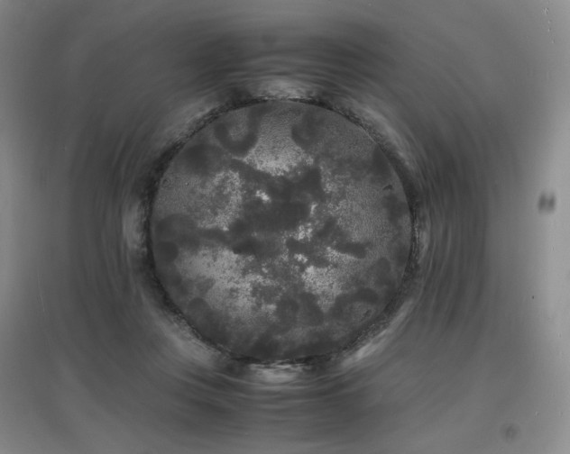 X0000097620359200802291331