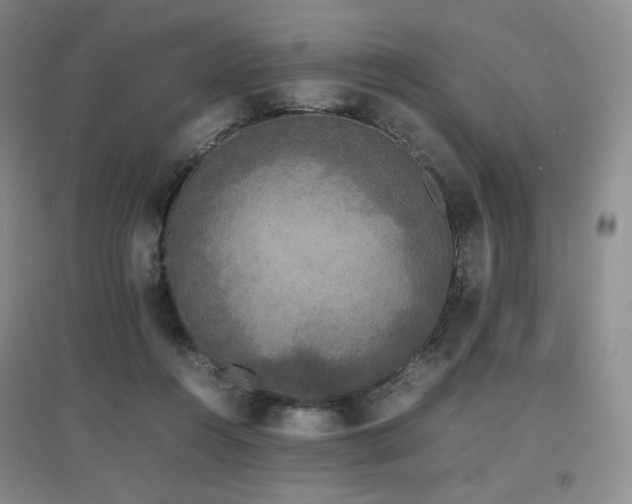 X0000097620360200802291331