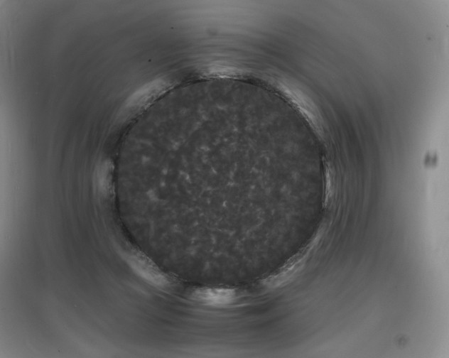 X0000097620361200802291331