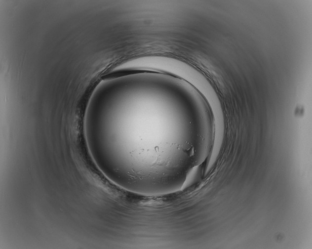 X0000097620362200802291331