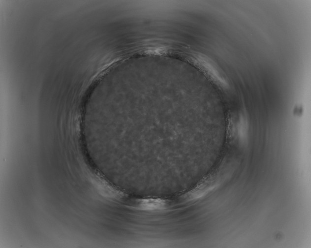 X0000097620363200802291331