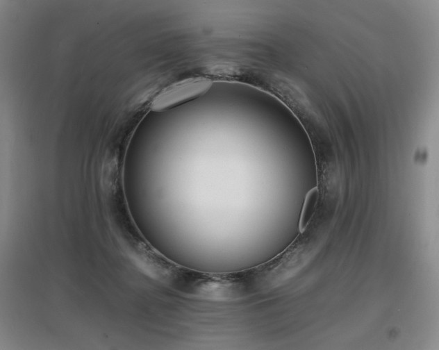 X0000097620364200802291331