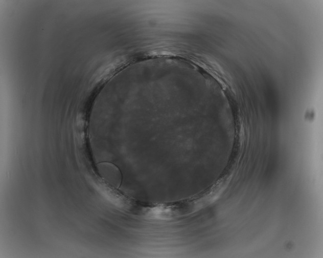 X0000097620366200802291331