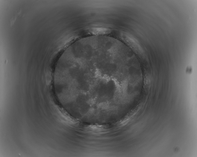 X0000097620367200802291331