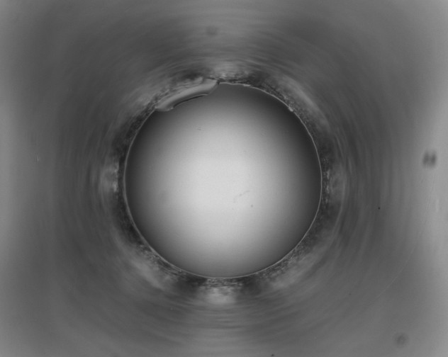 X0000097620368200802291331