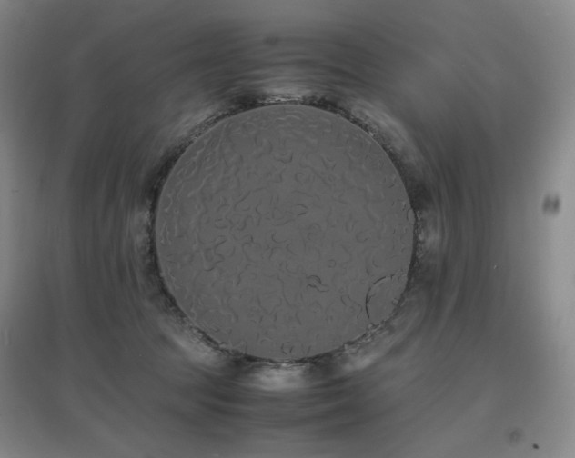 X0000097620369200802291331