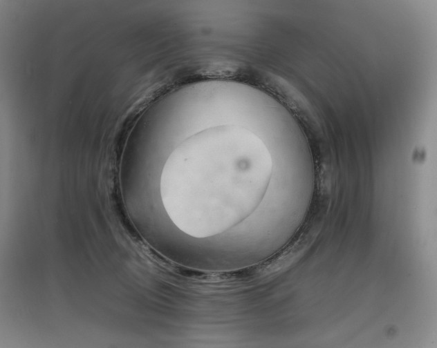X0000097620370200802291331