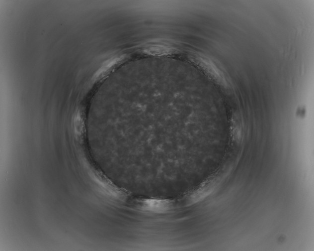 X0000097620371200802291331