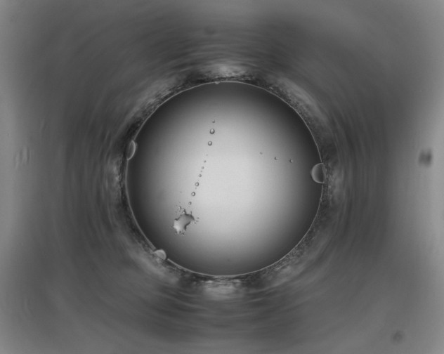 X0000097620373200802291331