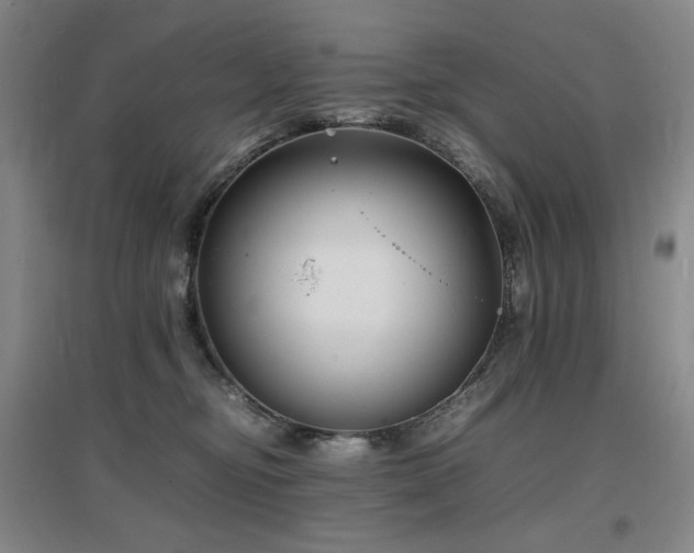 X0000097620374200802291331