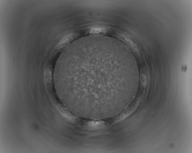 X0000097620375200802291331