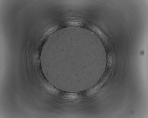 X0000097620377200802291331