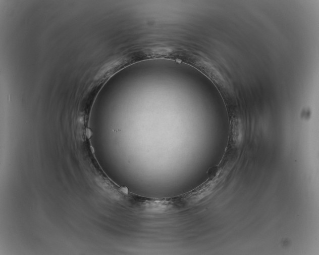 X0000097620378200802291331