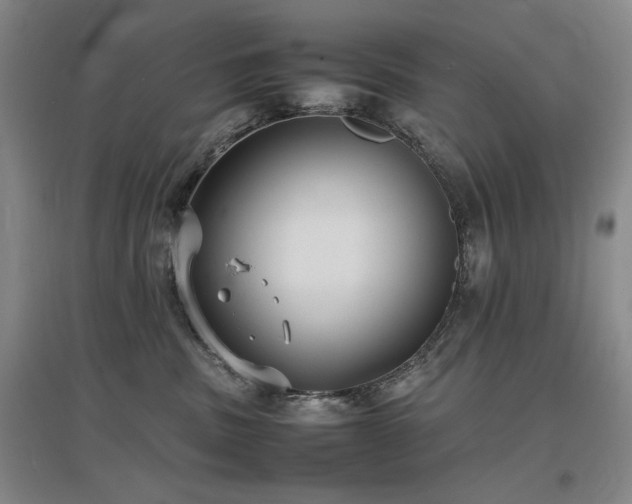 X0000097620379200802291331
