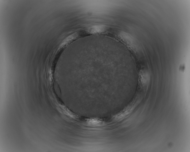 X0000097620380200802291331