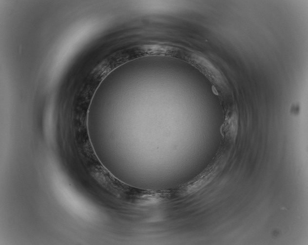 X0000097620381200802291331