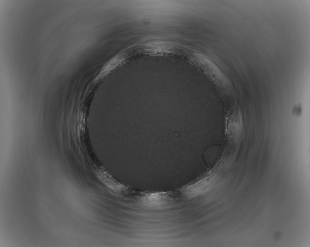 X0000097620382200802291331