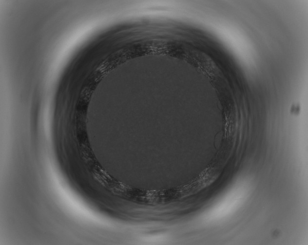 X0000097620383200802291332