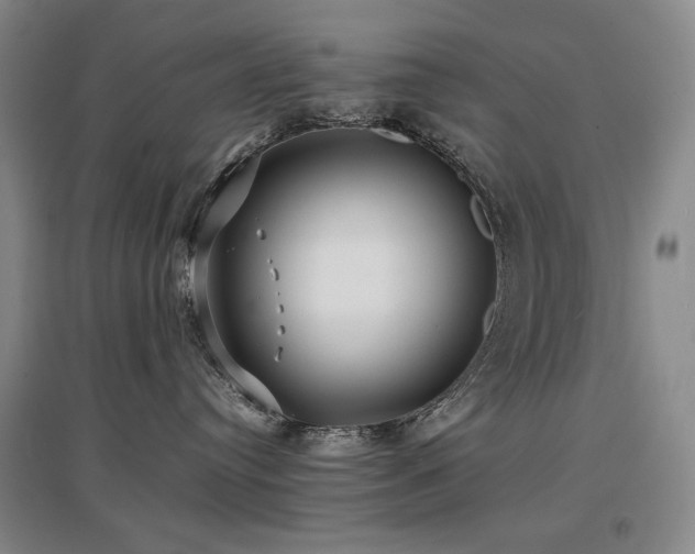 X0000097620384200802291332