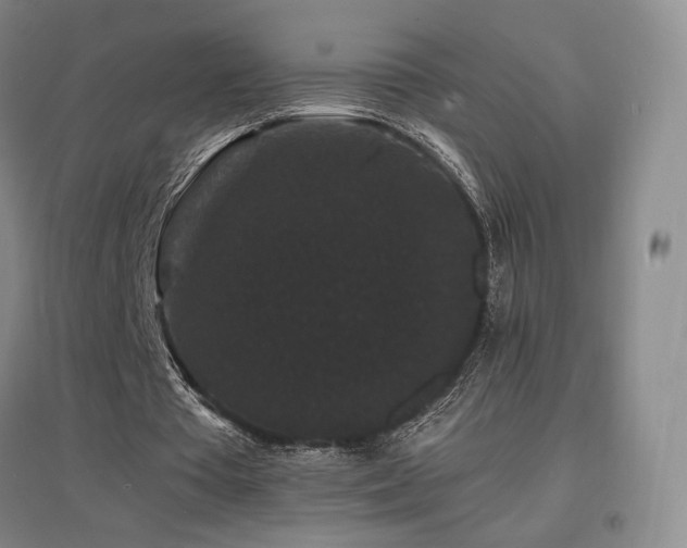 X0000097620385200802291331