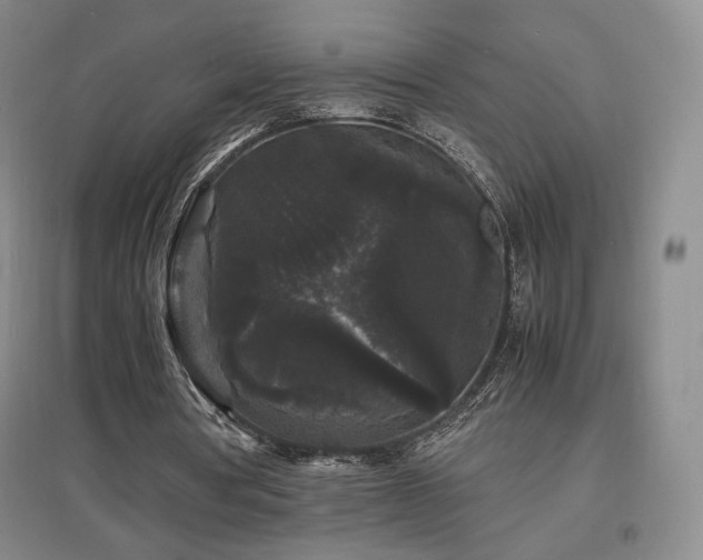 X0000097620386200802291331