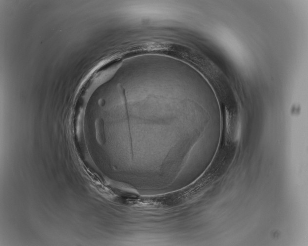 X0000097620387200802291331