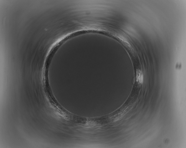 X0000097620388200802291331