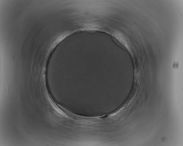 X0000097620389200802291331
