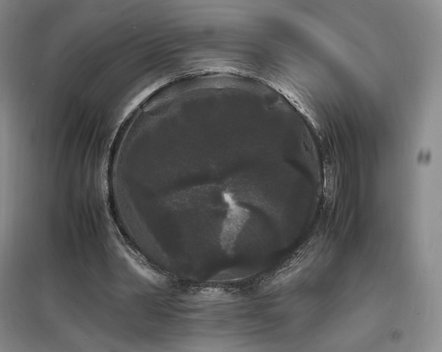 X0000097620390200802291331