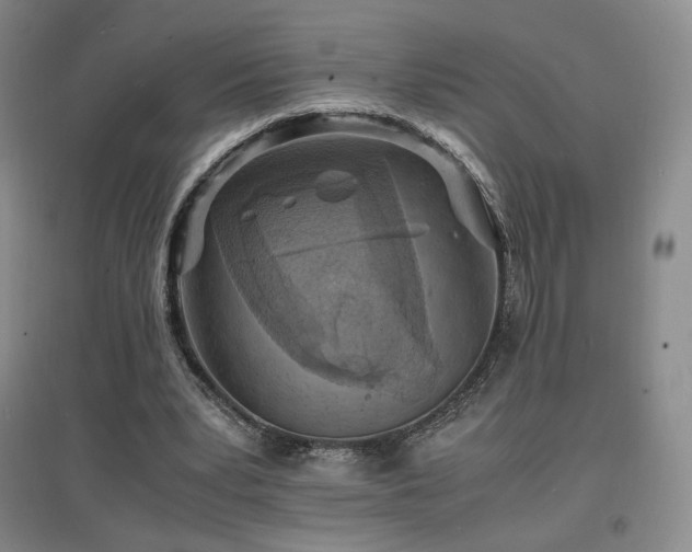 X0000097620391200802291331