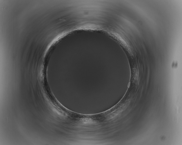 X0000097620392200802291331